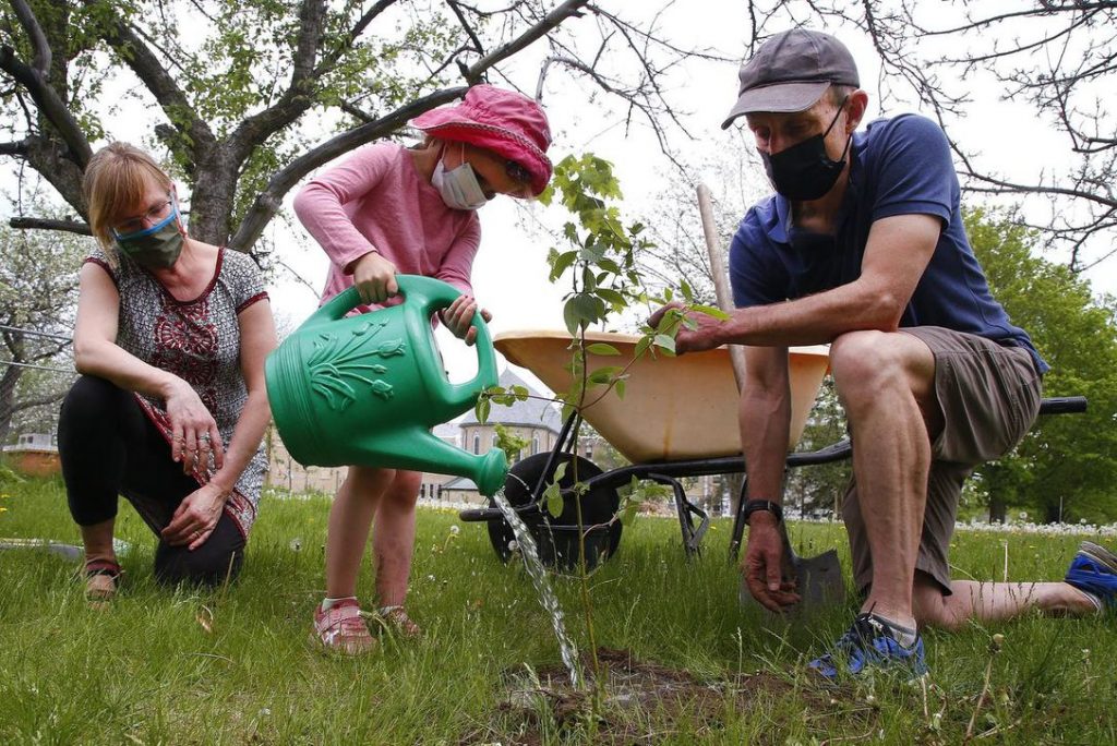 Image of a young girl watering a newly planted tree